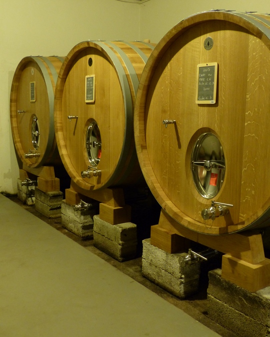 Vinification